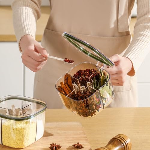 Masala Box Set 4 Compartment Spice Box with Lid, Spoon & Handle Airtight Seasoning Organiser