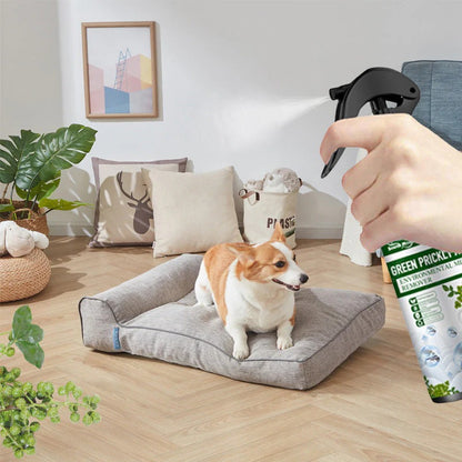 Power Insect Spray