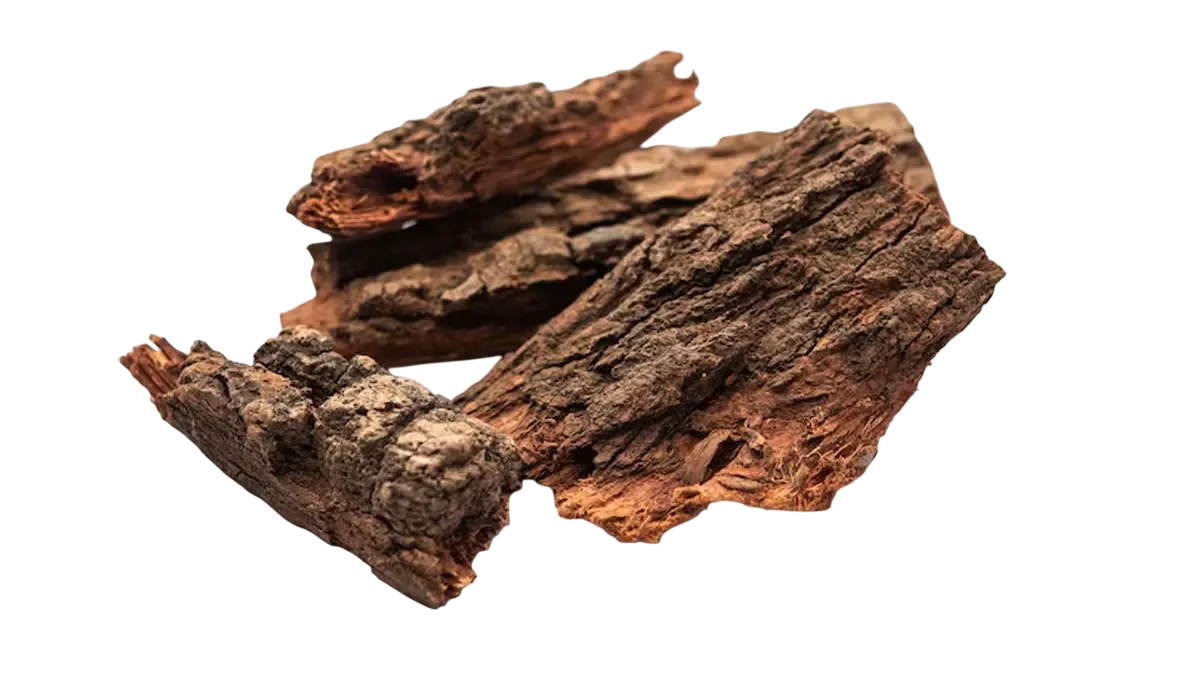 Ayurvedic Vijaysar Wood Sugar Control Glass